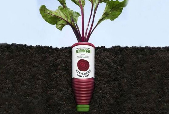 食品飲料工業(yè)飛速發(fā)展成為自動(dòng)化包裝機(jī)械行業(yè)新的機(jī)遇